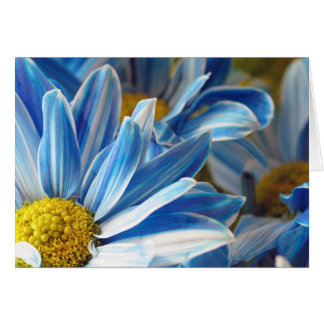 Cartão Daises Azuis #2