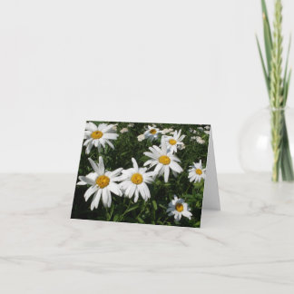 Cartão Daisies