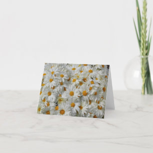 Cartão Daisies Notecard