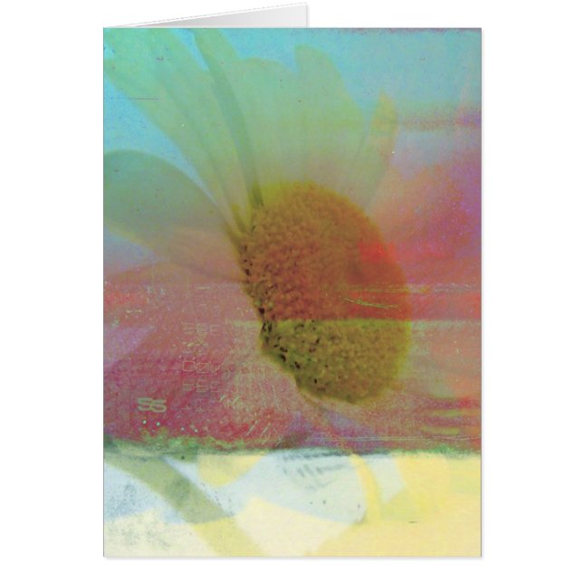 Cartão Daisy (Frente)