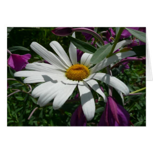 Cartão Daisy e Fireweed
