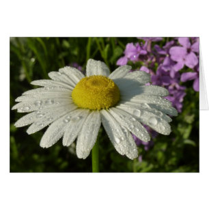 Cartão Daisy e Summer Lilac
