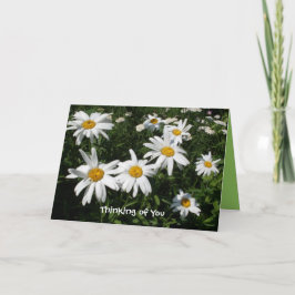 Cartão Daisy Happy Card