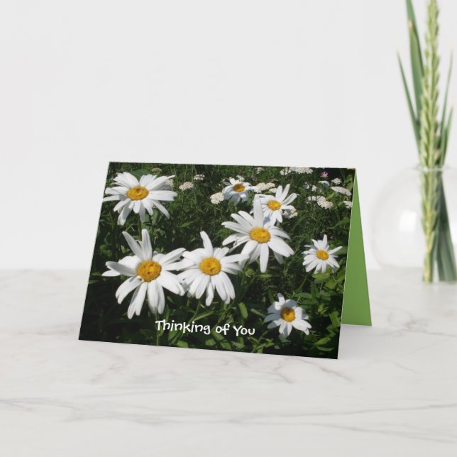 Cartão Daisy Happy Card (Frente)