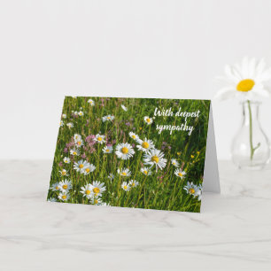 Cartão Daisy Meadows - Com a mais profunda simpatia