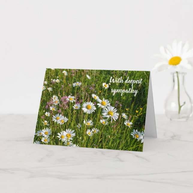 Cartão Daisy Meadows  - Com a mais profunda simpatia (Planta pequena)