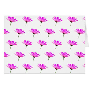 Cartão Daisy Rosa