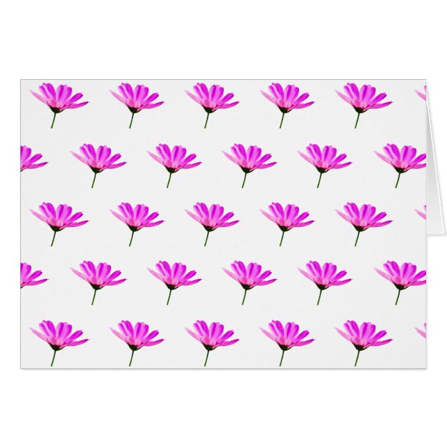 Cartão Daisy Rosa (Frente Horizontal)