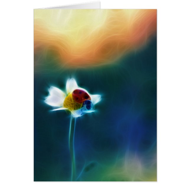 Cartão Daisybug (Frente)