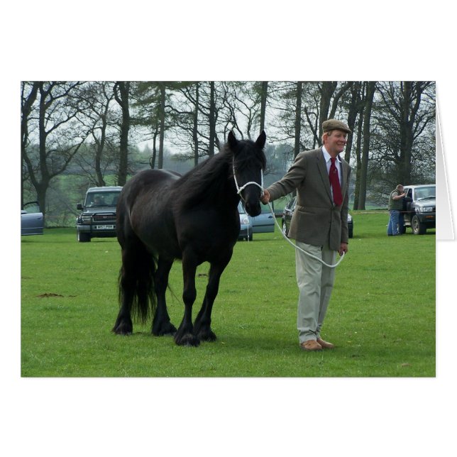 Cartão Dales Pony (Frente horizontal)