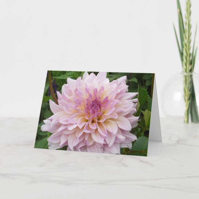 Cartão Dália cor-de-rosa (Frente)