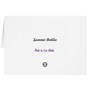 Cartão Dália do verão