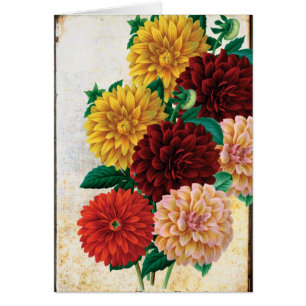 Cartão Dálias do vintage