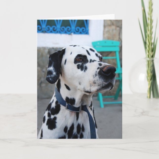 Cartão Dalmácia (Frente)