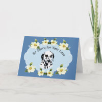 Dalmácia com Simpatia de Dogwood Azul