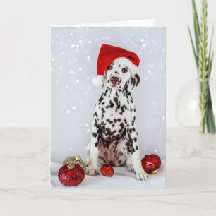 Cartão Dalmatian Christmas
