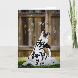 Cartão Dalmatian with bubbles