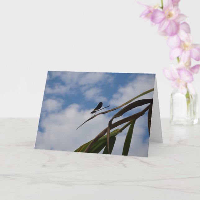 Cartão Damselfly no céu azul (Orquídea)