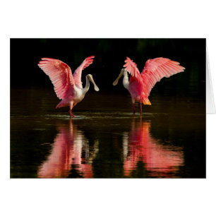 Cartão Dança de Amarração de Colheita Roseada