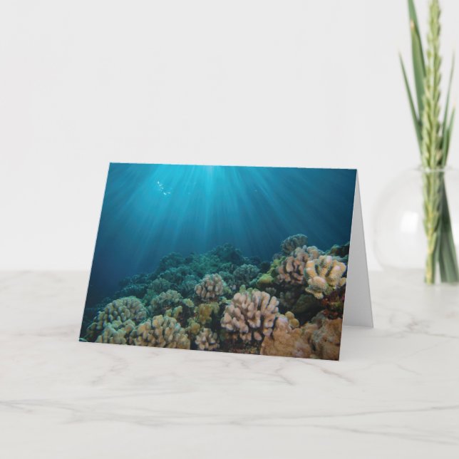 Cartão Dançando luz solar (Frente)