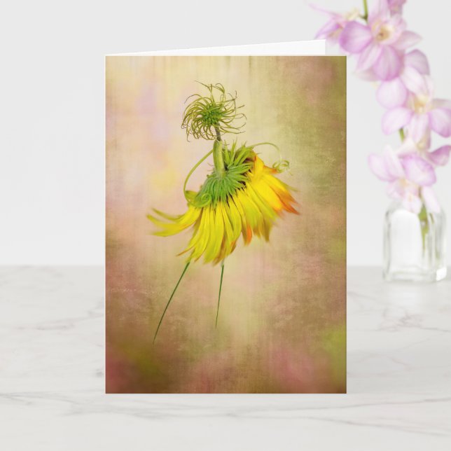 Cartão Dançarina de Jardim (Orquídea)