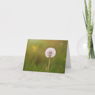 Cartão Dances with Dandelions Note Card
