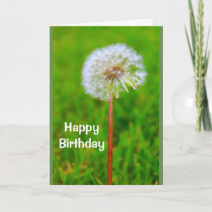 Cartão Dande Birthday I'm Not Lion