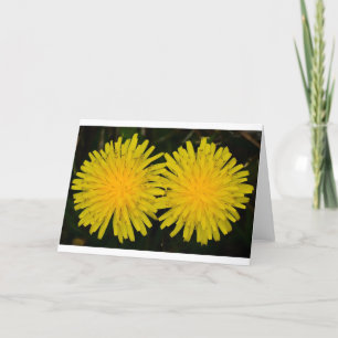 Cartão Dandelion