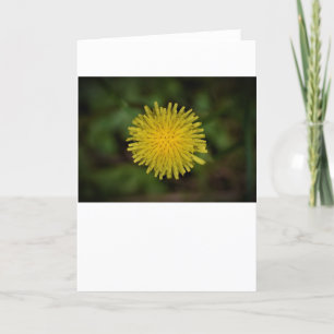 Cartão Dandelion