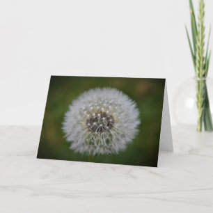 Cartão Dandelion