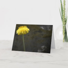 Cartão Dandelion