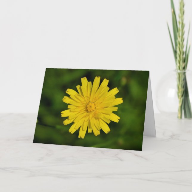 Cartão Dandelion (Frente)