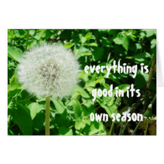 Cartão Dandelion