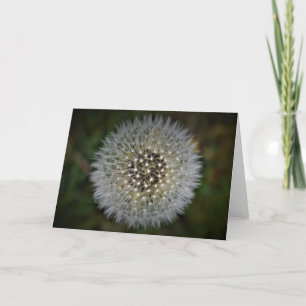 Cartão Dandelion
