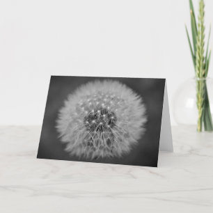 Cartão Dandelion