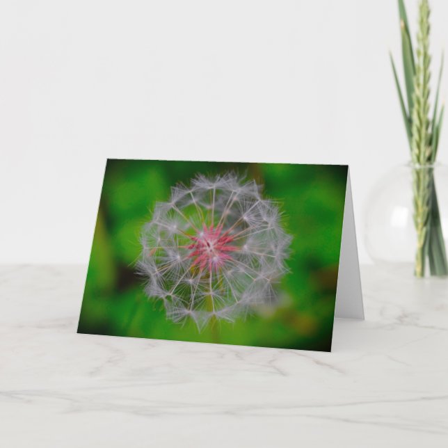 Cartão Dandelion (Frente)