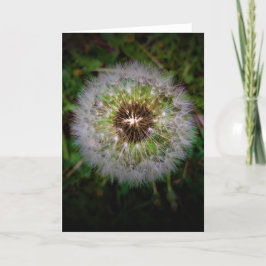 Cartão Dandelion