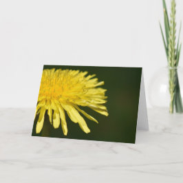 Cartão Dandelion
