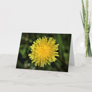 Cartão Dandelion