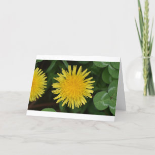 Cartão Dandelion