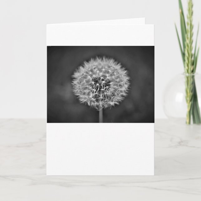 Cartão Dandelion (Frente)