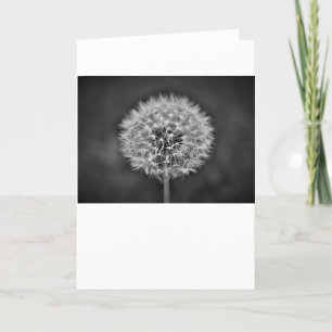 Cartão Dandelion
