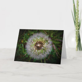Cartão Dandelion