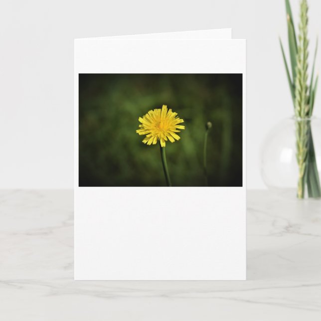 Cartão Dandelion (Frente)