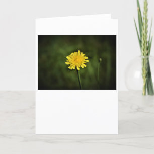 Cartão Dandelion