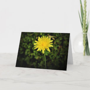 Cartão Dandelion