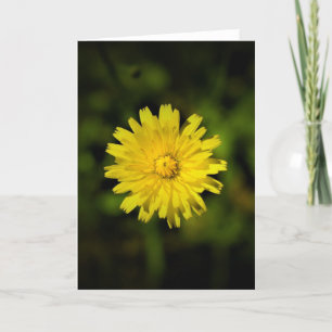 Cartão Dandelion