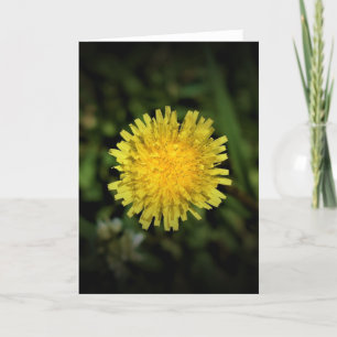 Cartão Dandelion