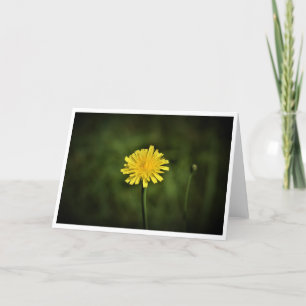 Cartão Dandelion