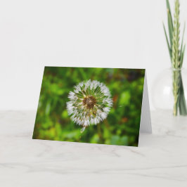 Cartão Dandelion